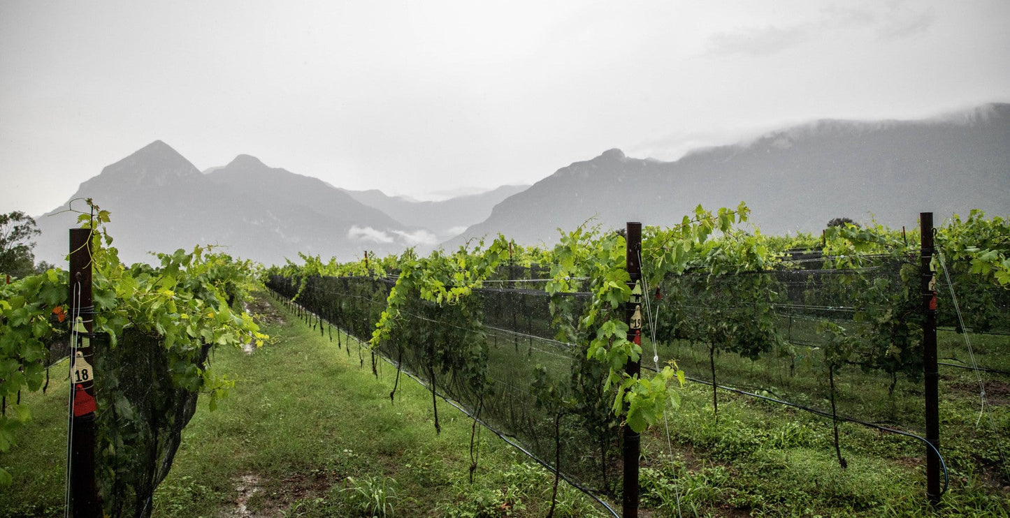 Alambre Galvanizado Suave Deacero - Rollo de 1 kg