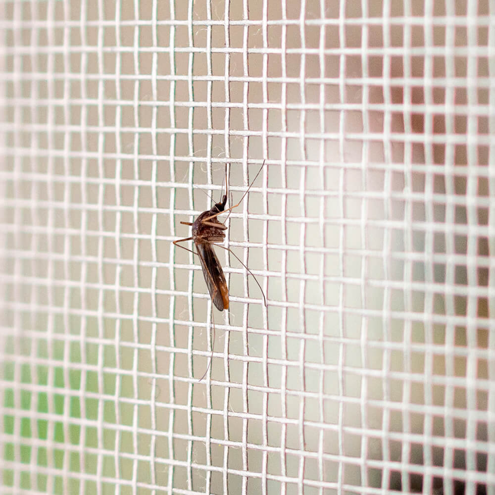 Malla Mosquitera Reforzada Aceros Nacionales - Rollo de 30 metros